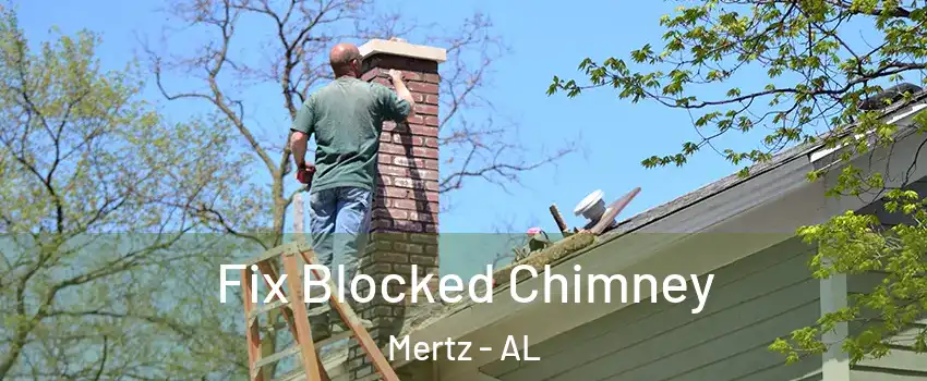 Fix Blocked Chimney Mertz - AL