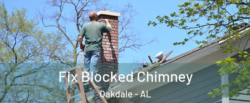 Fix Blocked Chimney Oakdale - AL