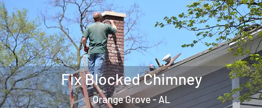 Fix Blocked Chimney Orange Grove - AL