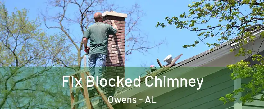 Fix Blocked Chimney Owens - AL