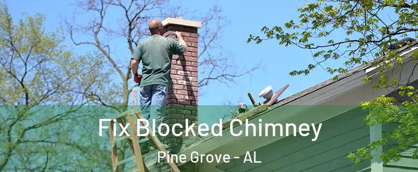 Fix Blocked Chimney Pine Grove - AL