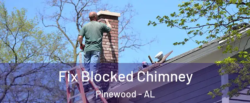 Fix Blocked Chimney Pinewood - AL