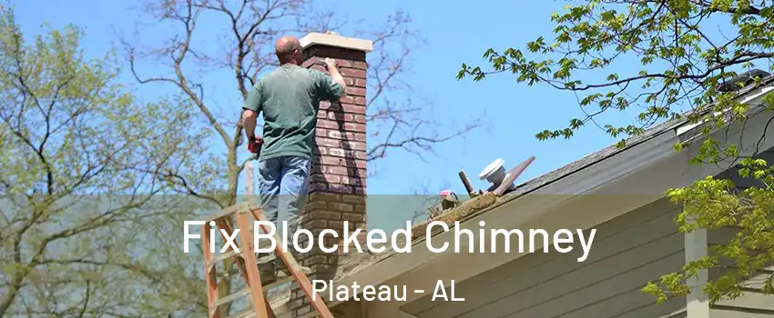 Fix Blocked Chimney Plateau - AL