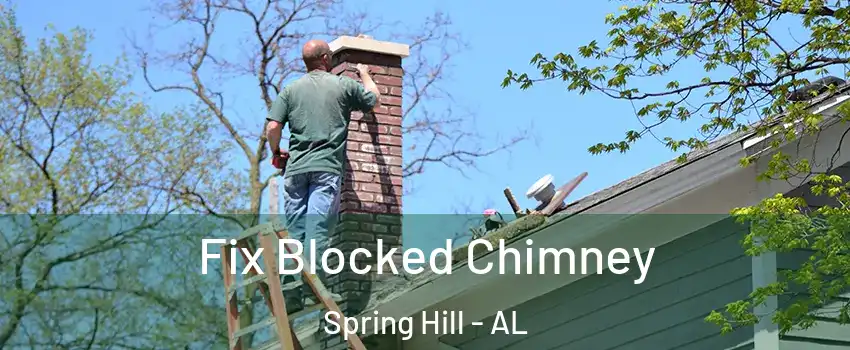 Fix Blocked Chimney Spring Hill - AL