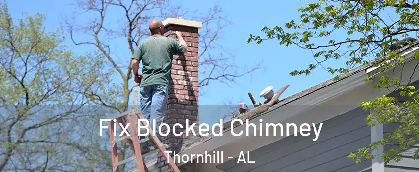 Fix Blocked Chimney Thornhill - AL