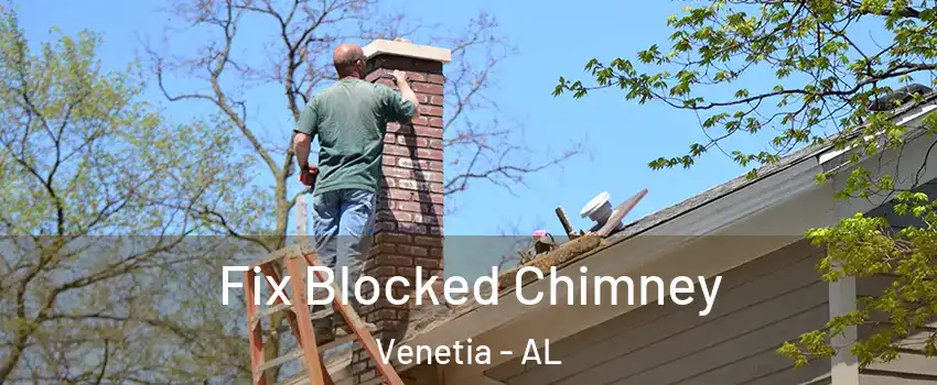 Fix Blocked Chimney Venetia - AL