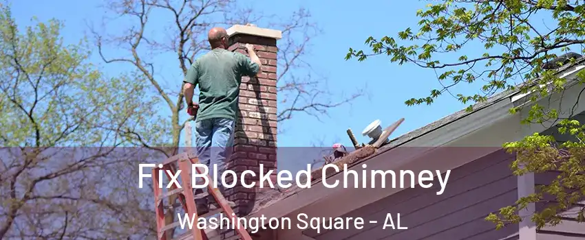 Fix Blocked Chimney Washington Square - AL