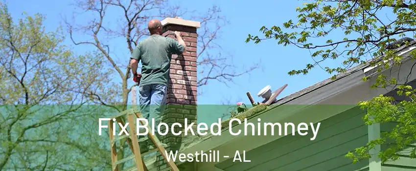Fix Blocked Chimney Westhill - AL