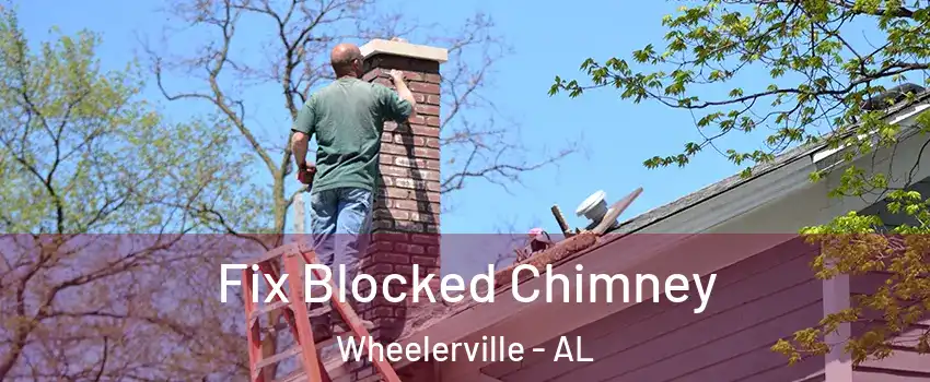 Fix Blocked Chimney Wheelerville - AL