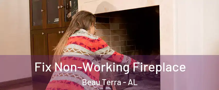 Fix Non-Working Fireplace Beau Terra - AL