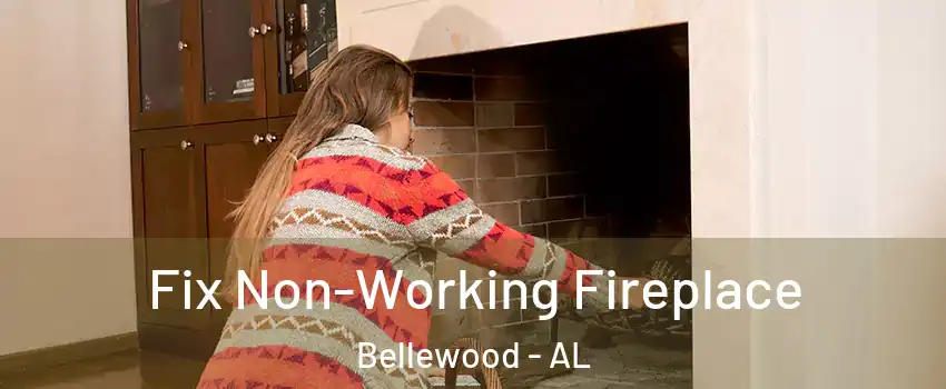 Fix Non-Working Fireplace Bellewood - AL