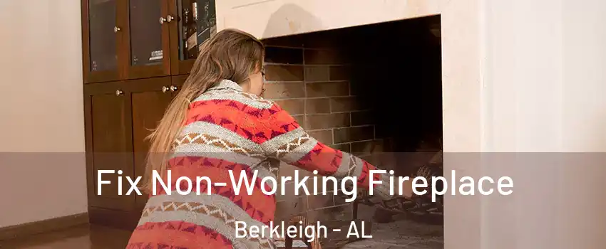 Fix Non-Working Fireplace Berkleigh - AL
