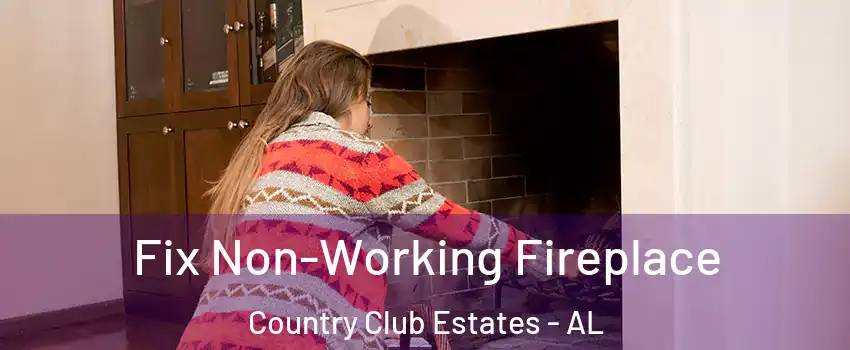 Fix Non-Working Fireplace Country Club Estates - AL