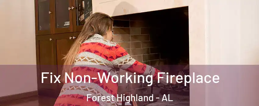 Fix Non-Working Fireplace Forest Highland - AL