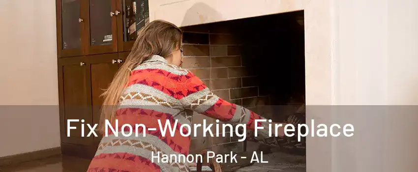 Fix Non-Working Fireplace Hannon Park - AL