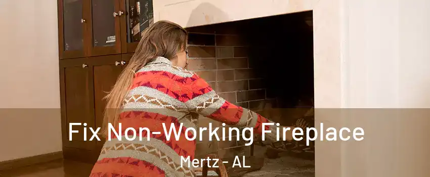 Fix Non-Working Fireplace Mertz - AL