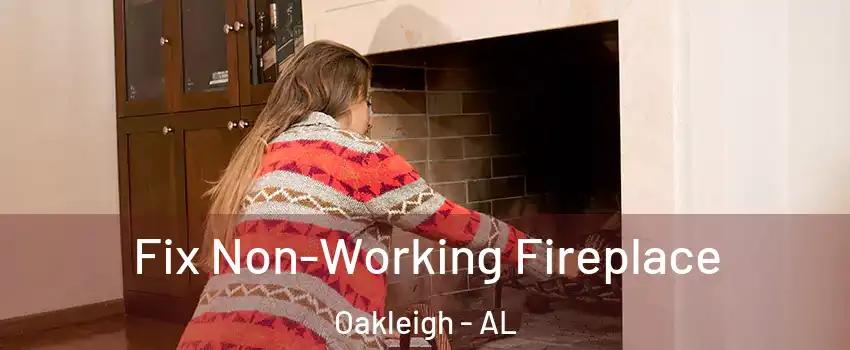Fix Non-Working Fireplace Oakleigh - AL
