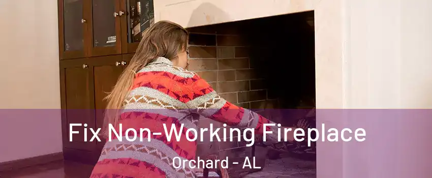 Fix Non-Working Fireplace Orchard - AL