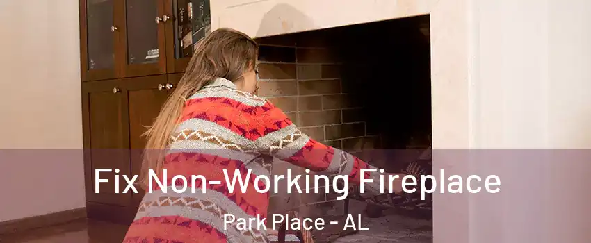 Fix Non-Working Fireplace Park Place - AL