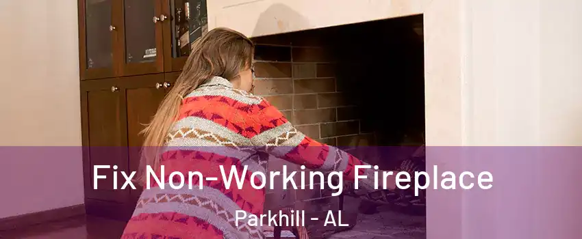 Fix Non-Working Fireplace Parkhill - AL
