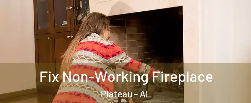 Fix Non-Working Fireplace Plateau - AL