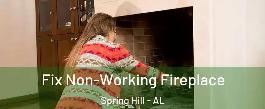 Fix Non-Working Fireplace Spring Hill - AL