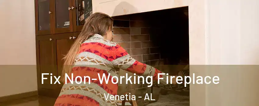 Fix Non-Working Fireplace Venetia - AL