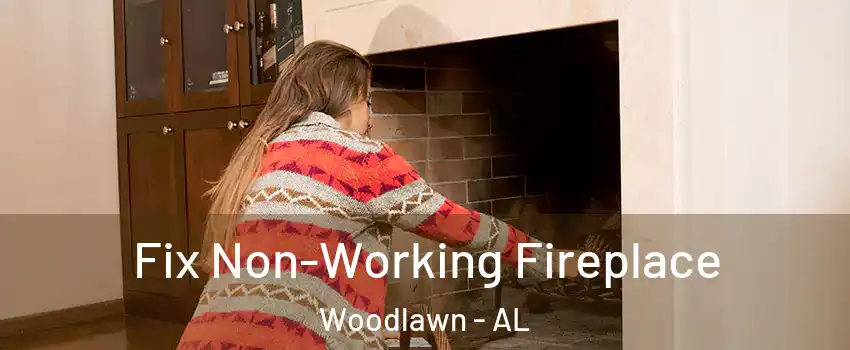Fix Non-Working Fireplace Woodlawn - AL