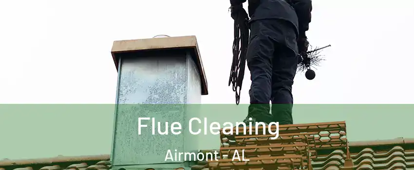 Flue Cleaning Airmont - AL