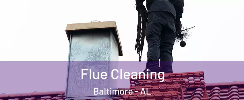 Flue Cleaning Baltimore - AL