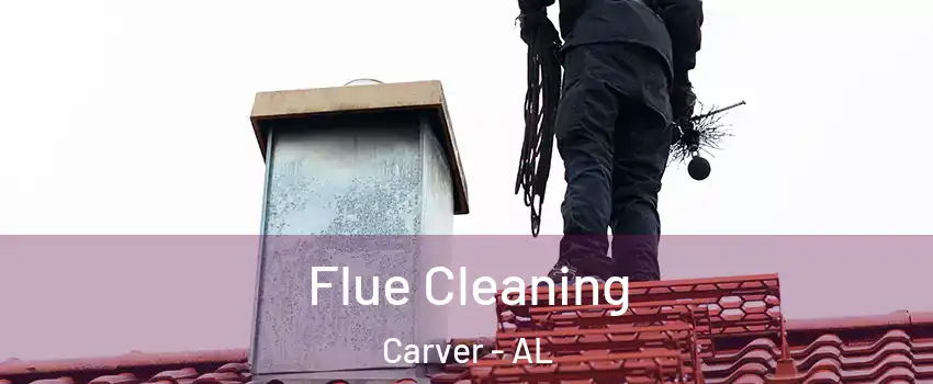 Flue Cleaning Carver - AL