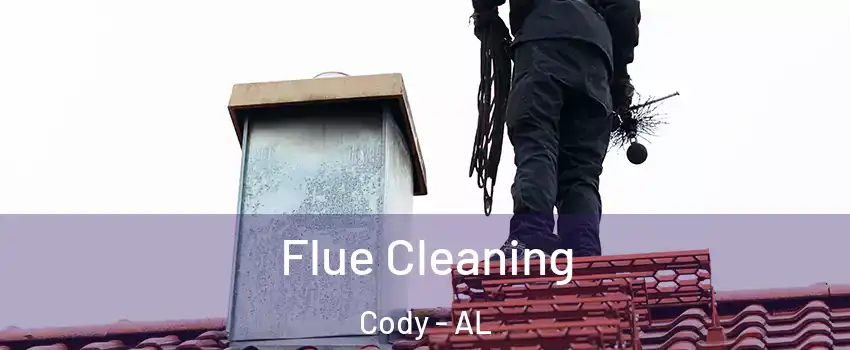 Flue Cleaning Cody - AL