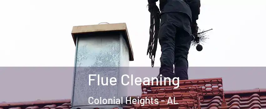 Flue Cleaning Colonial Heights - AL