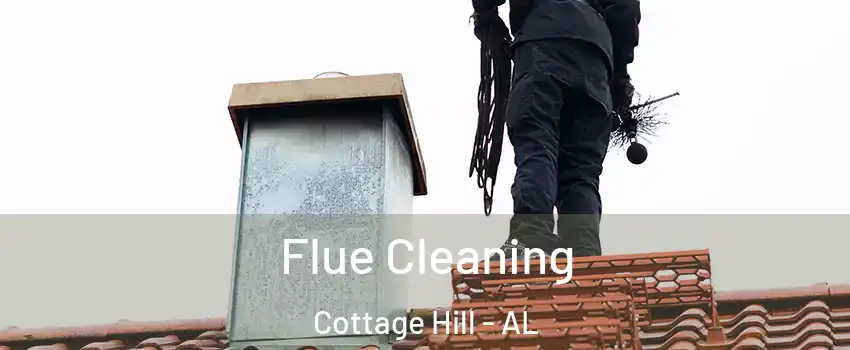 Flue Cleaning Cottage Hill - AL