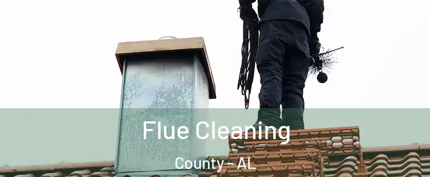 Flue Cleaning County - AL