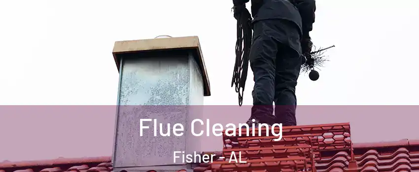 Flue Cleaning Fisher - AL