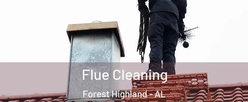 Flue Cleaning Forest Highland - AL