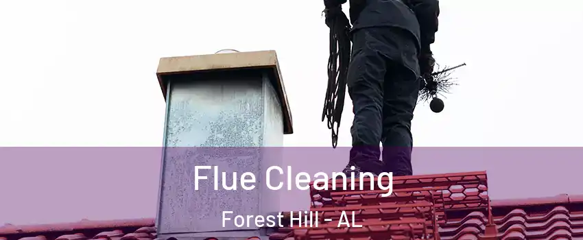 Flue Cleaning Forest Hill - AL