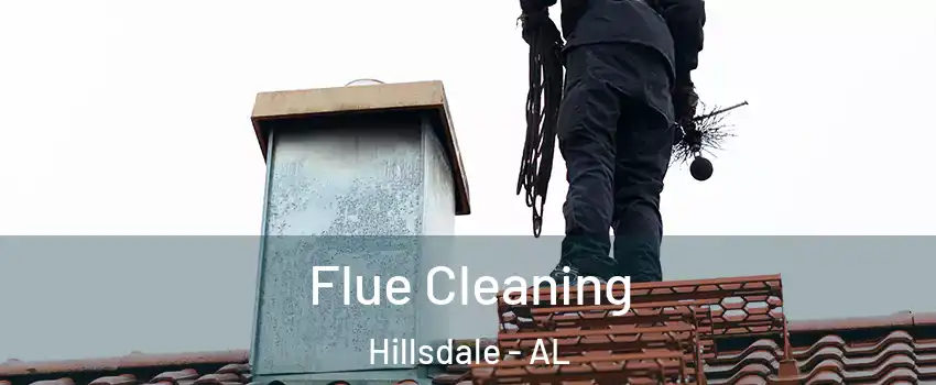 Flue Cleaning Hillsdale - AL