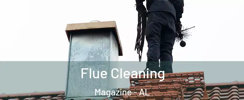 Flue Cleaning Magazine - AL