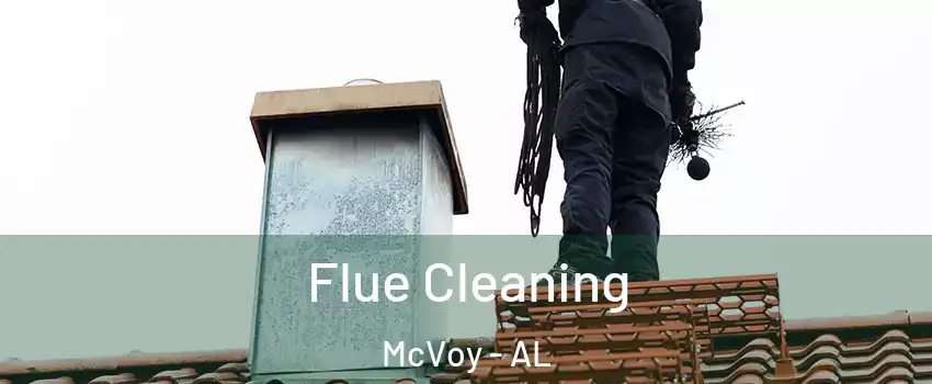 Flue Cleaning McVoy - AL
