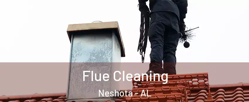 Flue Cleaning Neshota - AL