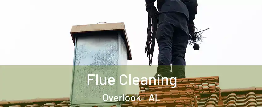 Flue Cleaning Overlook - AL