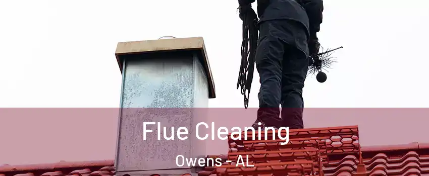 Flue Cleaning Owens - AL