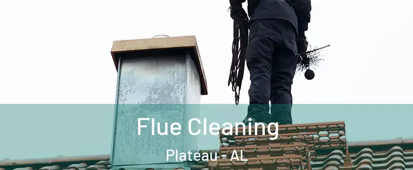 Flue Cleaning Plateau - AL