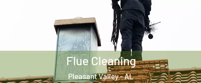 Flue Cleaning Pleasant Valley - AL