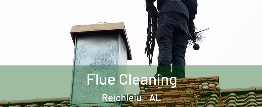 Flue Cleaning Reichleiu - AL