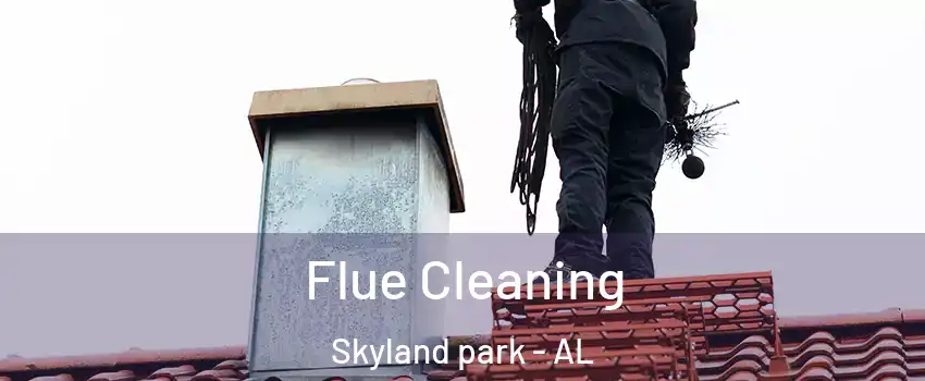 Flue Cleaning Skyland park - AL