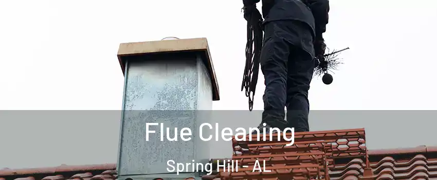 Flue Cleaning Spring Hill - AL
