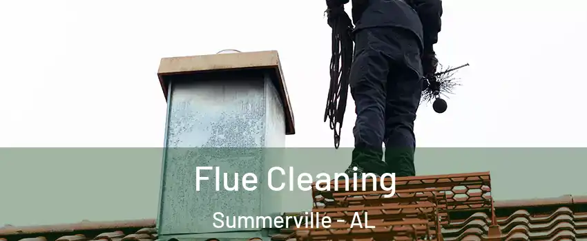 Flue Cleaning Summerville - AL